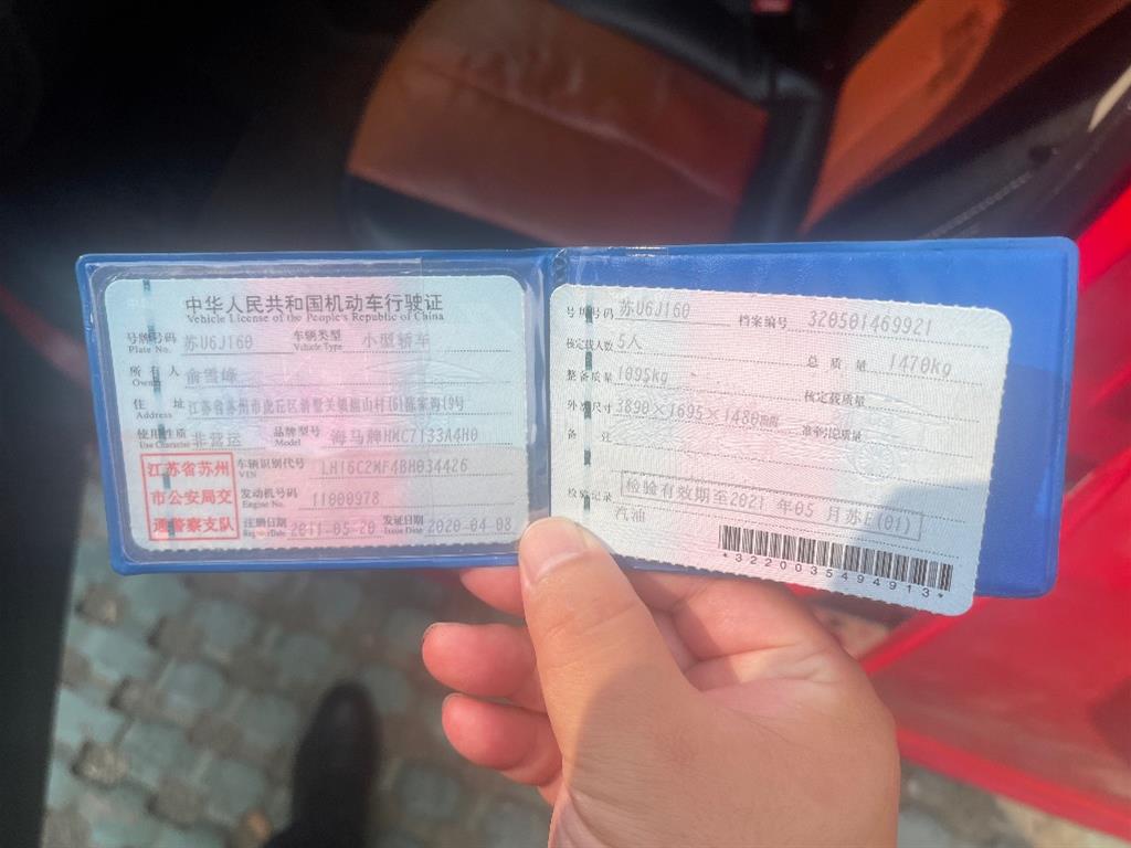 海马