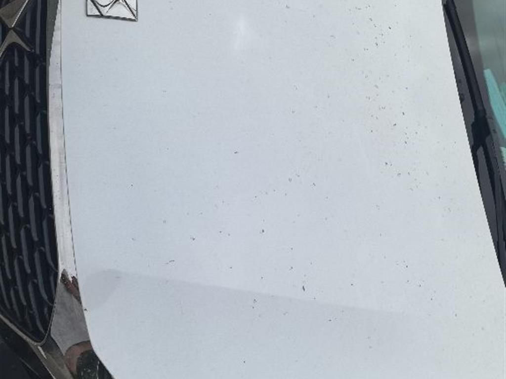 DS