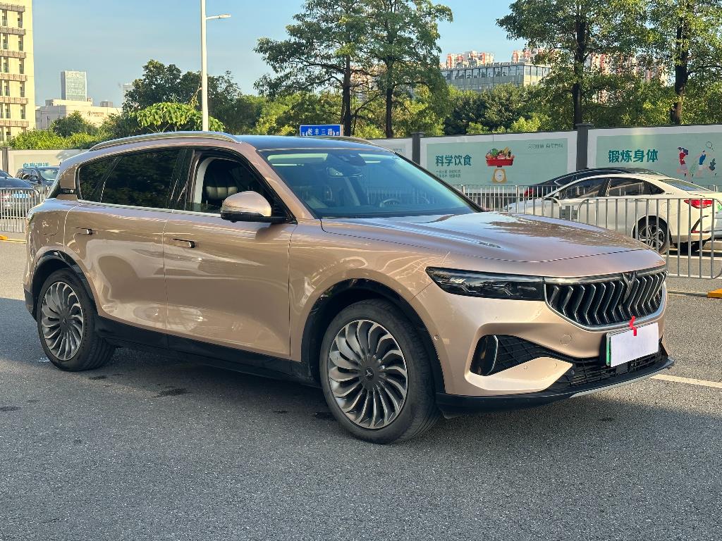 岚图汽车