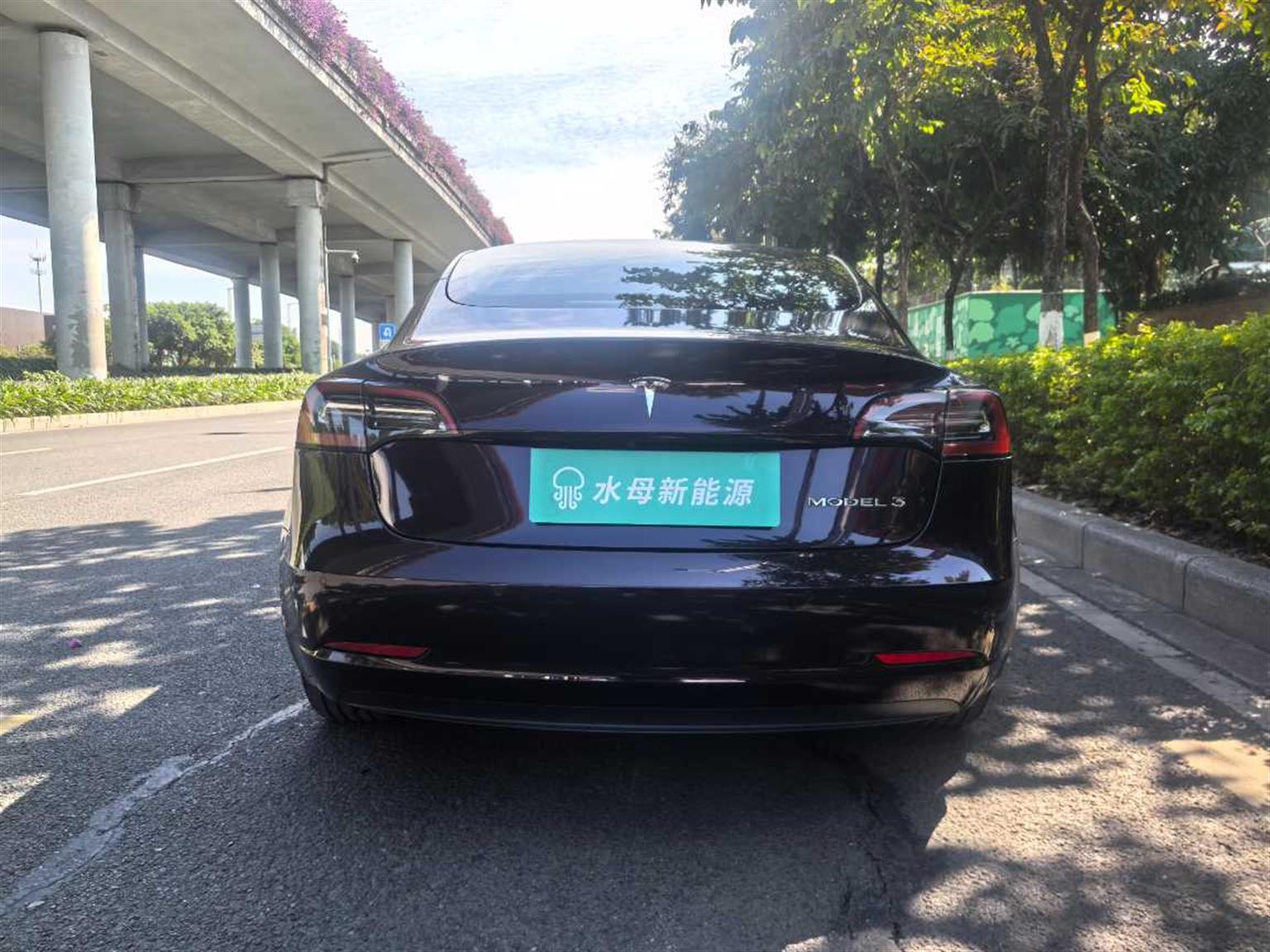 特斯拉