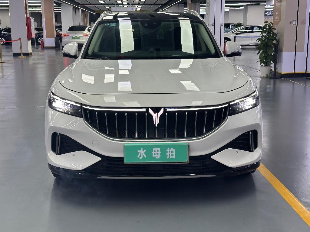 岚图汽车