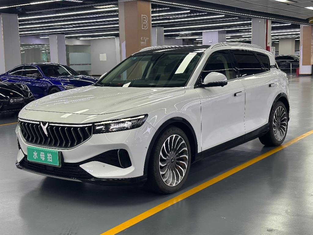 岚图汽车