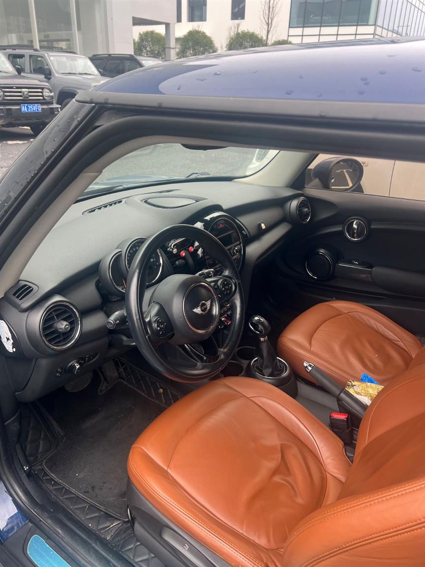 MINI